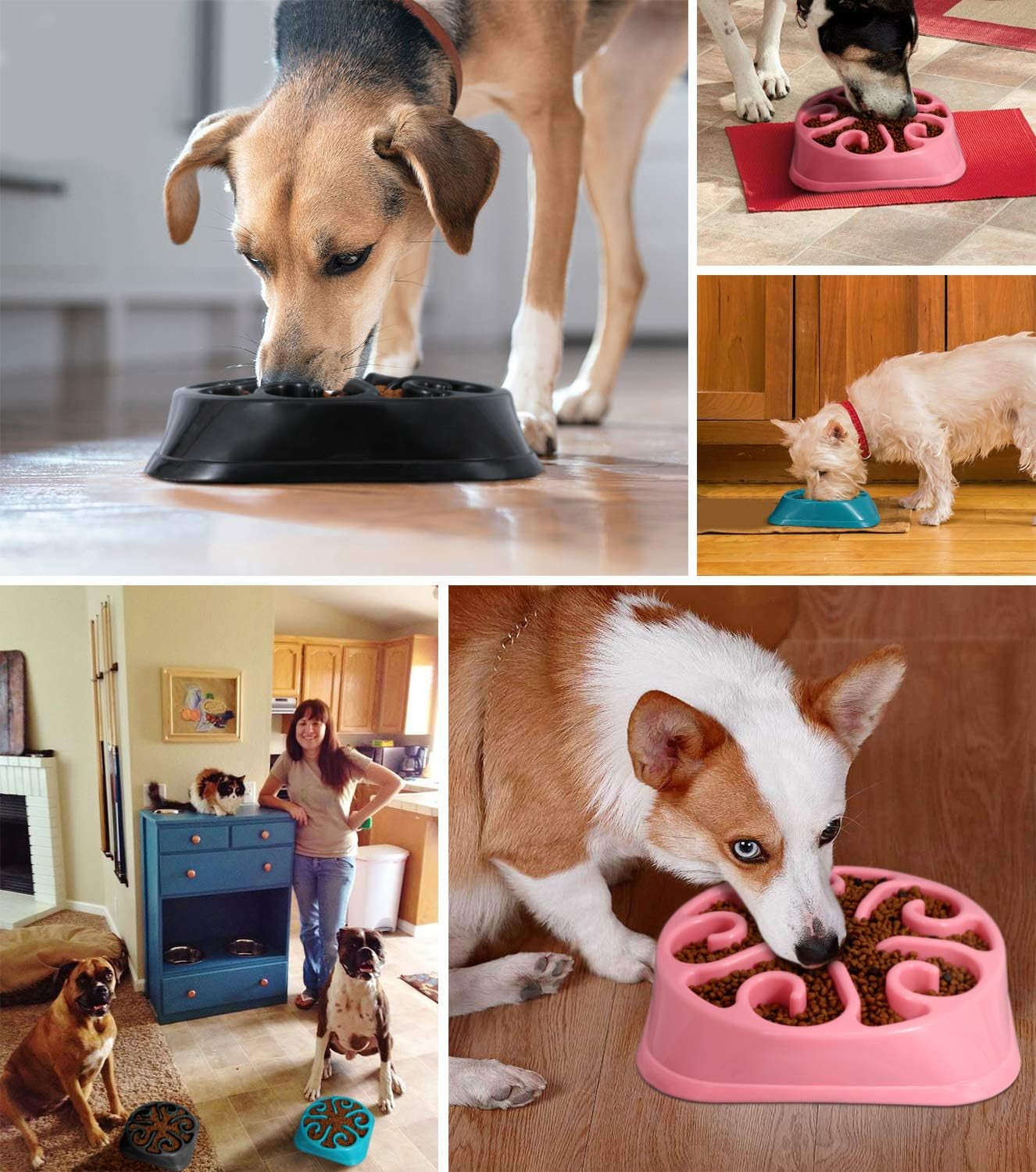 Transform Mealtime for Large Dogs with Our Anti-Gulping Slow Feeder Bowl – Say Goodbye to Choking and Bloating!