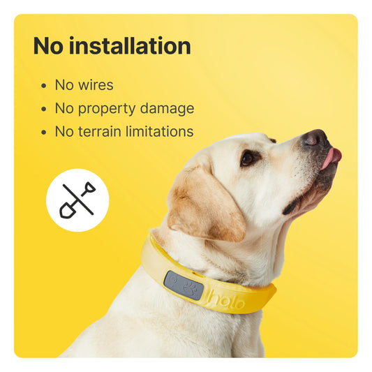 Unleash Freedom with the 3rd Generation Wireless GPS Dog Fence & Training Collar – Real-Time Tracking in Vibrant Sunburst for Medium/Large Dogs!