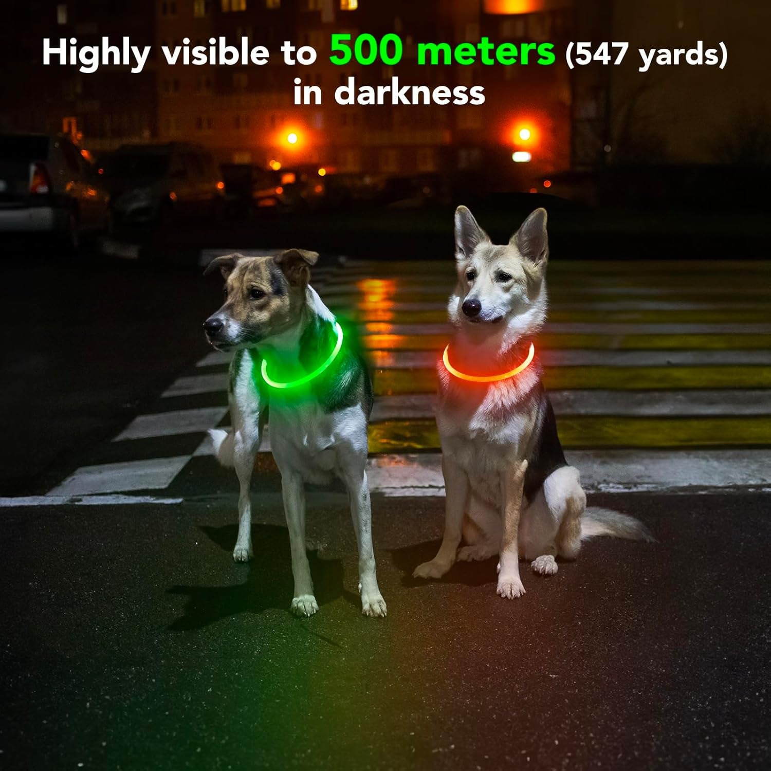 Light Up the Night! Rechargeable Waterproof Safety Dog Collar in Bright Orange for All Breeds 🐕✨ #DogSafety #NightWalks #PuppyLove