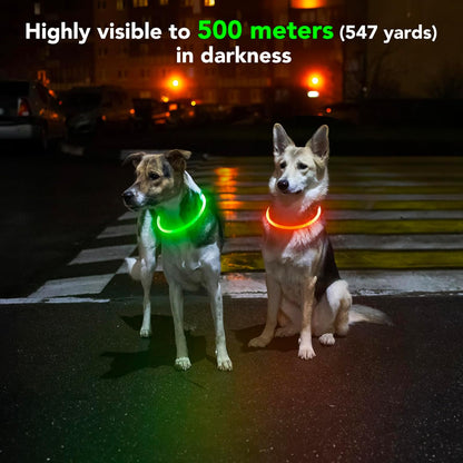 Light Up the Night! Rechargeable Waterproof Safety Dog Collar in Bright Orange for All Breeds 🐕✨ #DogSafety #NightWalks #PuppyLove