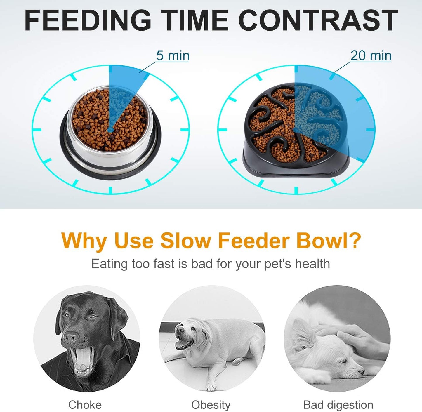 Transform Mealtime for Large Dogs with Our Anti-Gulping Slow Feeder Bowl – Say Goodbye to Choking and Bloating!