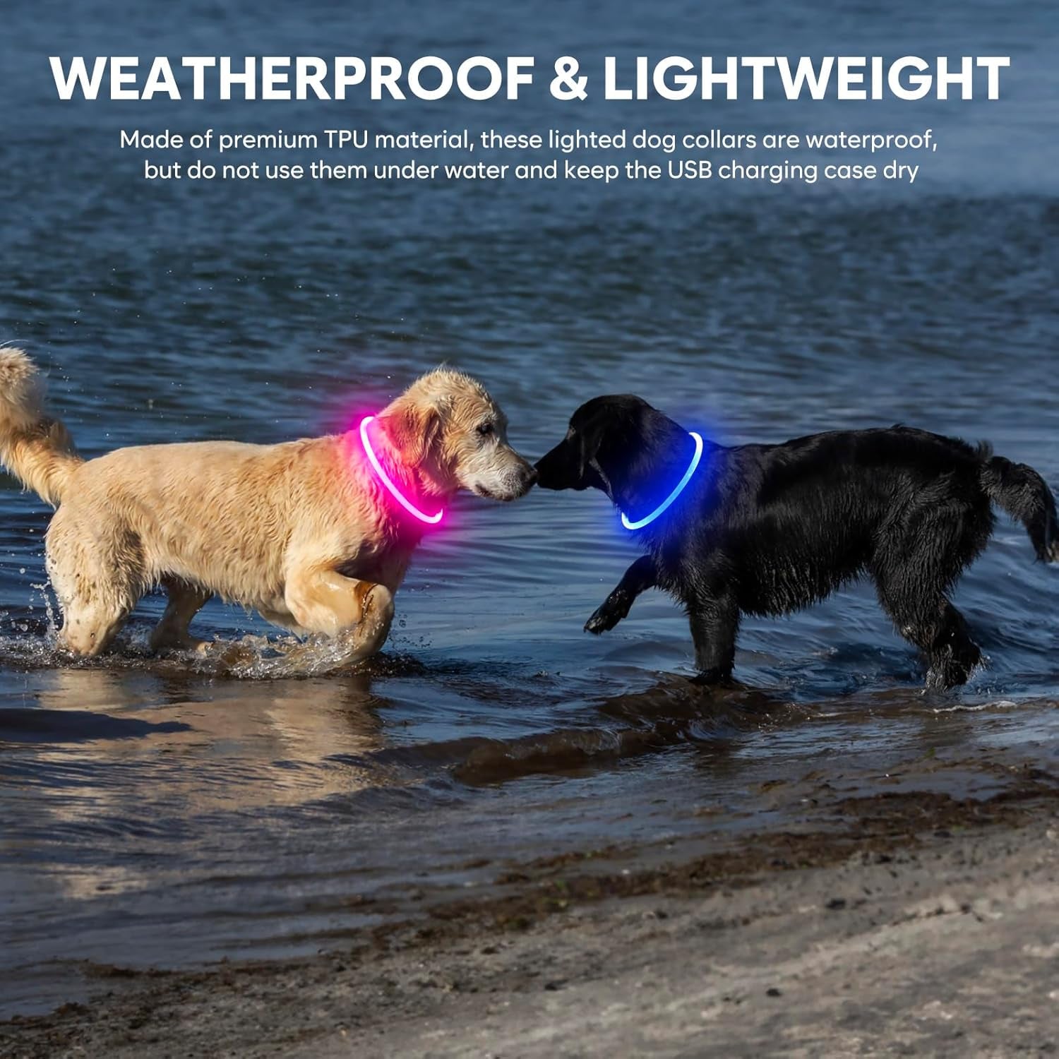 Illuminate Your Pup's Night Adventures with Our Blue Waterproof LED Dog Collar - Shine Bright and Keep Safety in Style! 🌟🐾