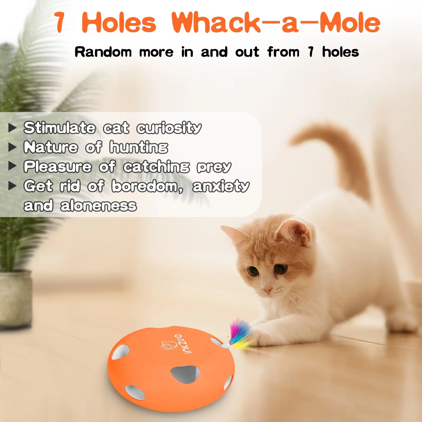 Ultimate Interactive Cat Toy for Indoor Play – Rechargeable Wand with Mind-Engaging Features!