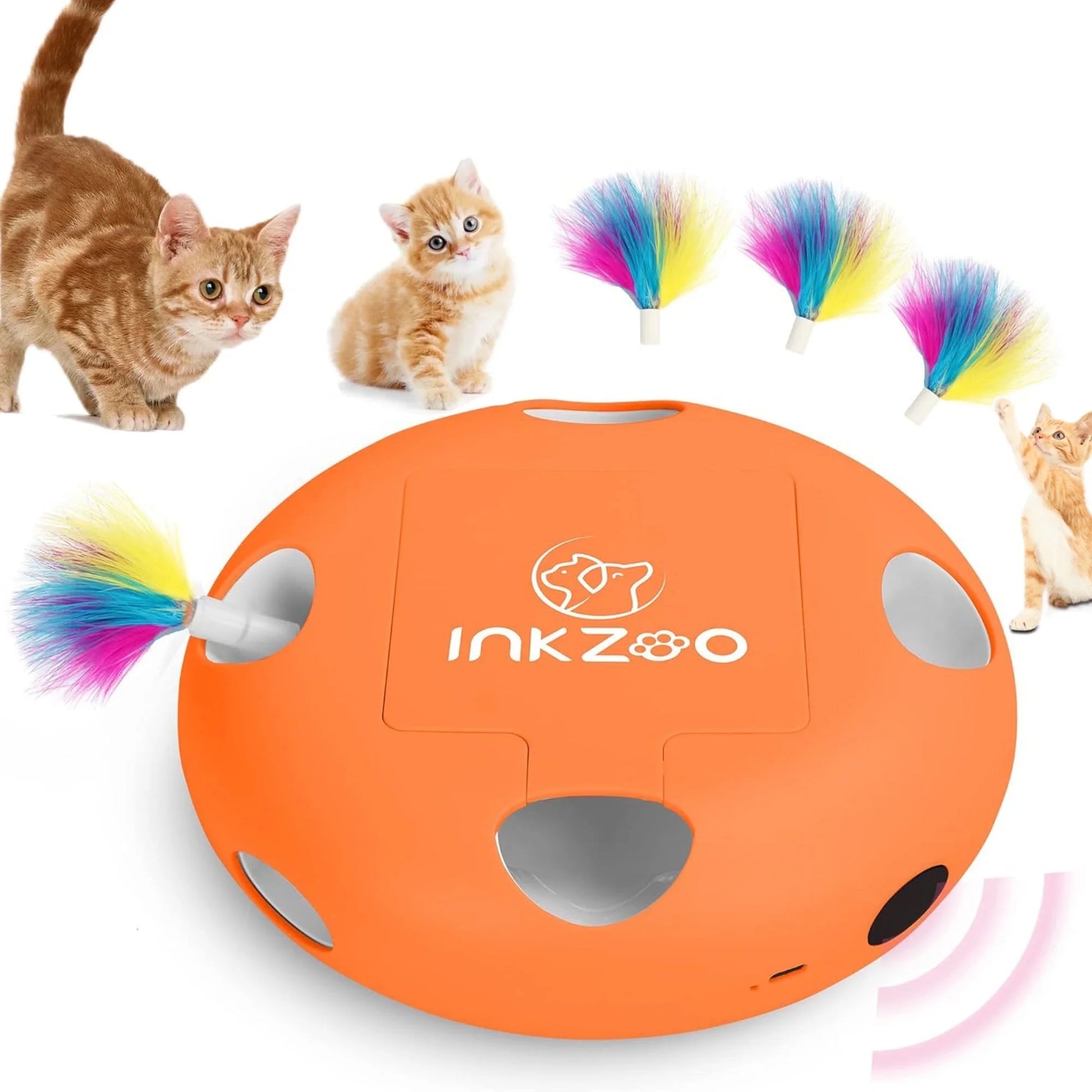 Ultimate Interactive Cat Toy for Indoor Play – Rechargeable Wand with Mind-Engaging Features!