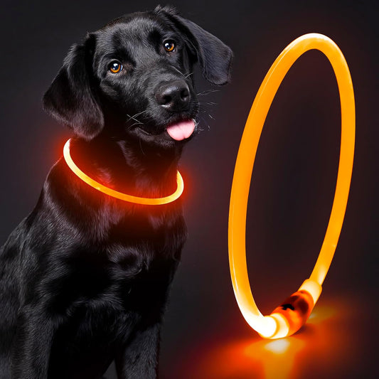Light Up the Night! Rechargeable Waterproof Safety Dog Collar in Bright Orange for All Breeds 🐕✨ #DogSafety #NightWalks #PuppyLove