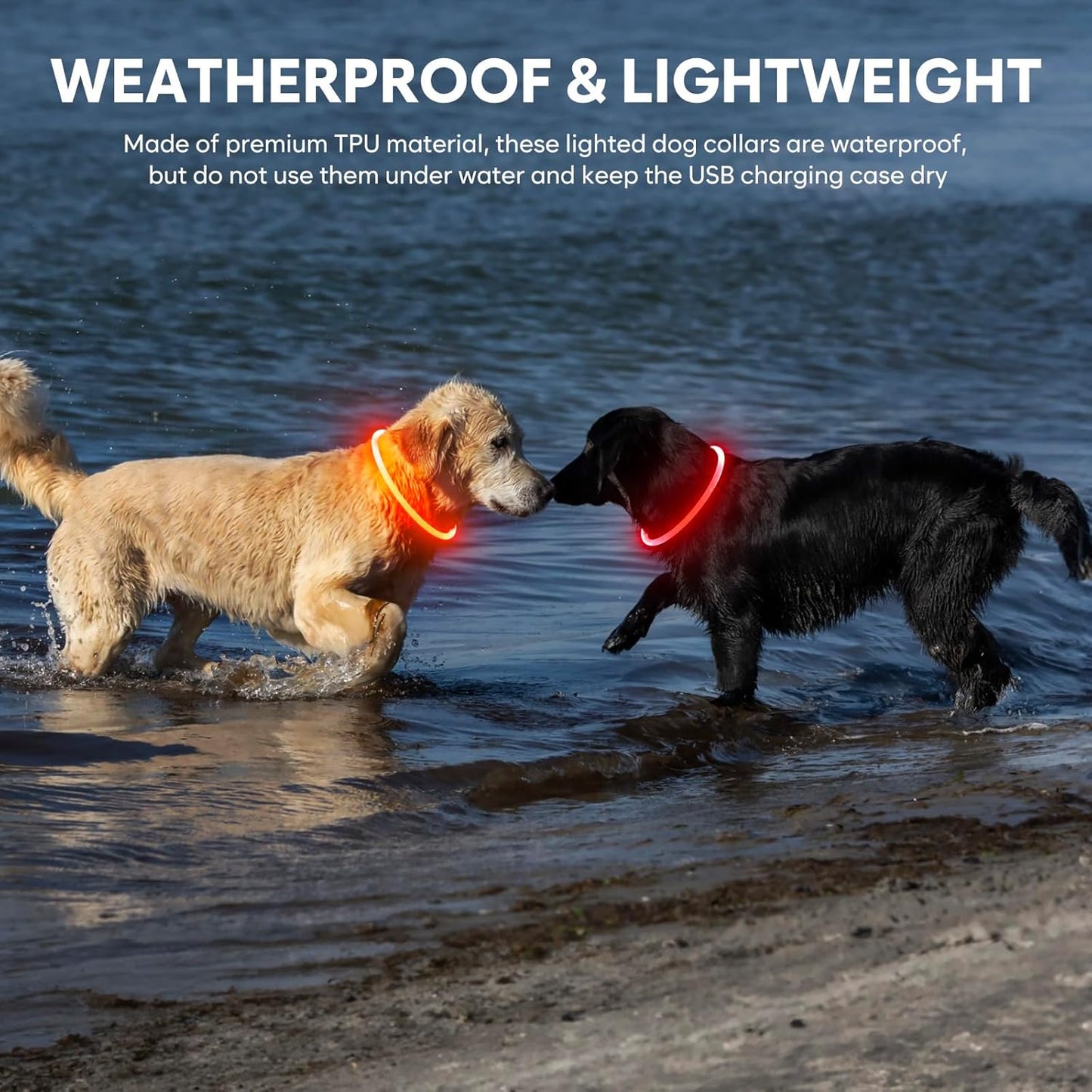 Light Up the Night! Rechargeable Waterproof Safety Dog Collar in Bright Orange for All Breeds 🐕✨ #DogSafety #NightWalks #PuppyLove