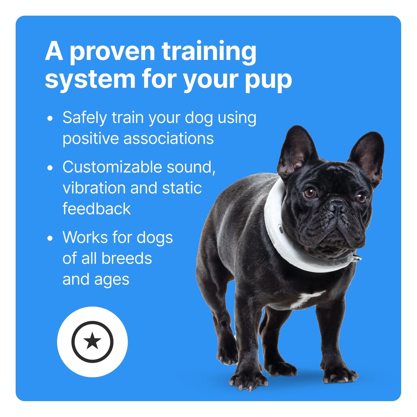 Unleash Freedom with the 3rd Generation Wireless GPS Dog Fence & Training Collar – Real-Time Tracking in Vibrant Sunburst for Medium/Large Dogs!