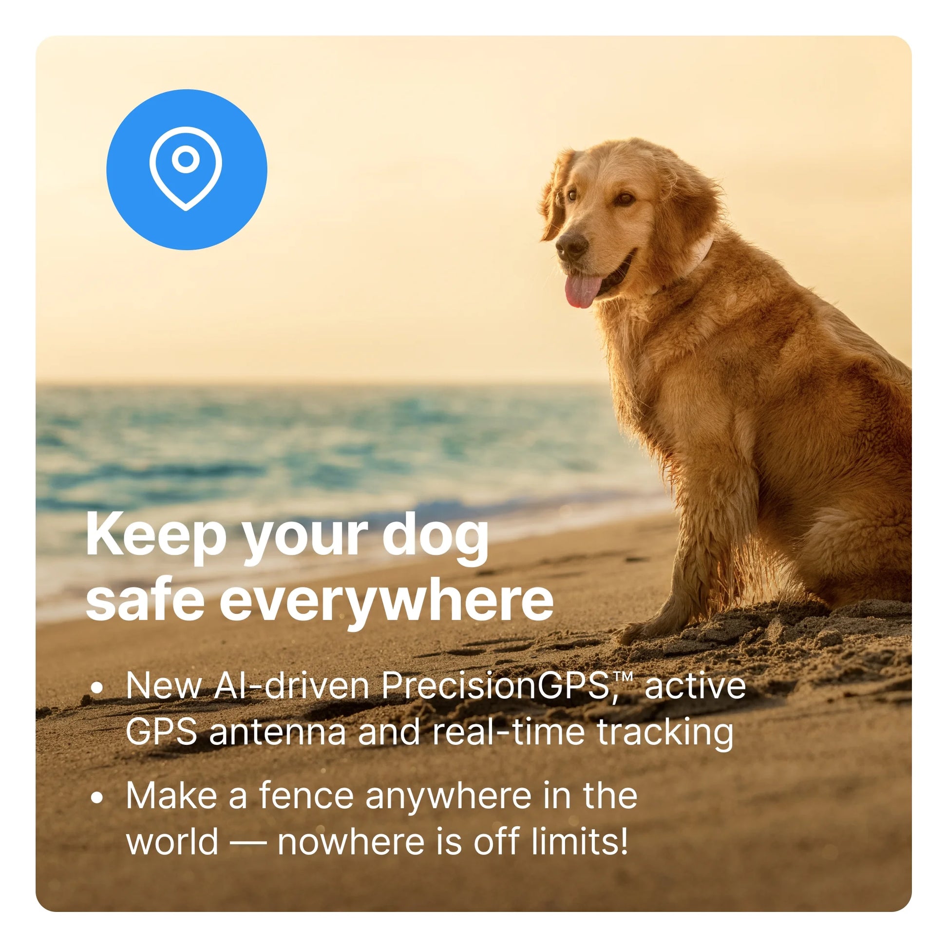 Unleash Freedom with the 3rd Generation Wireless GPS Dog Fence & Training Collar – Real-Time Tracking in Vibrant Sunburst for Medium/Large Dogs!