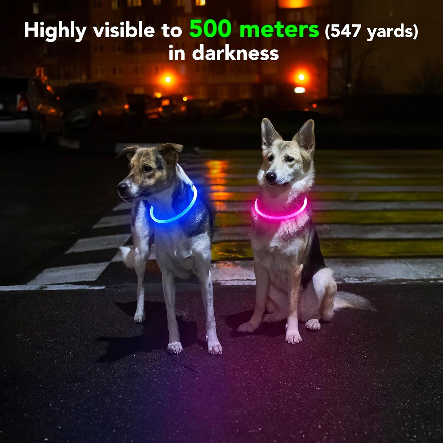 Illuminate Your Pup's Night Adventures with Our Blue Waterproof LED Dog Collar - Shine Bright and Keep Safety in Style! 🌟🐾