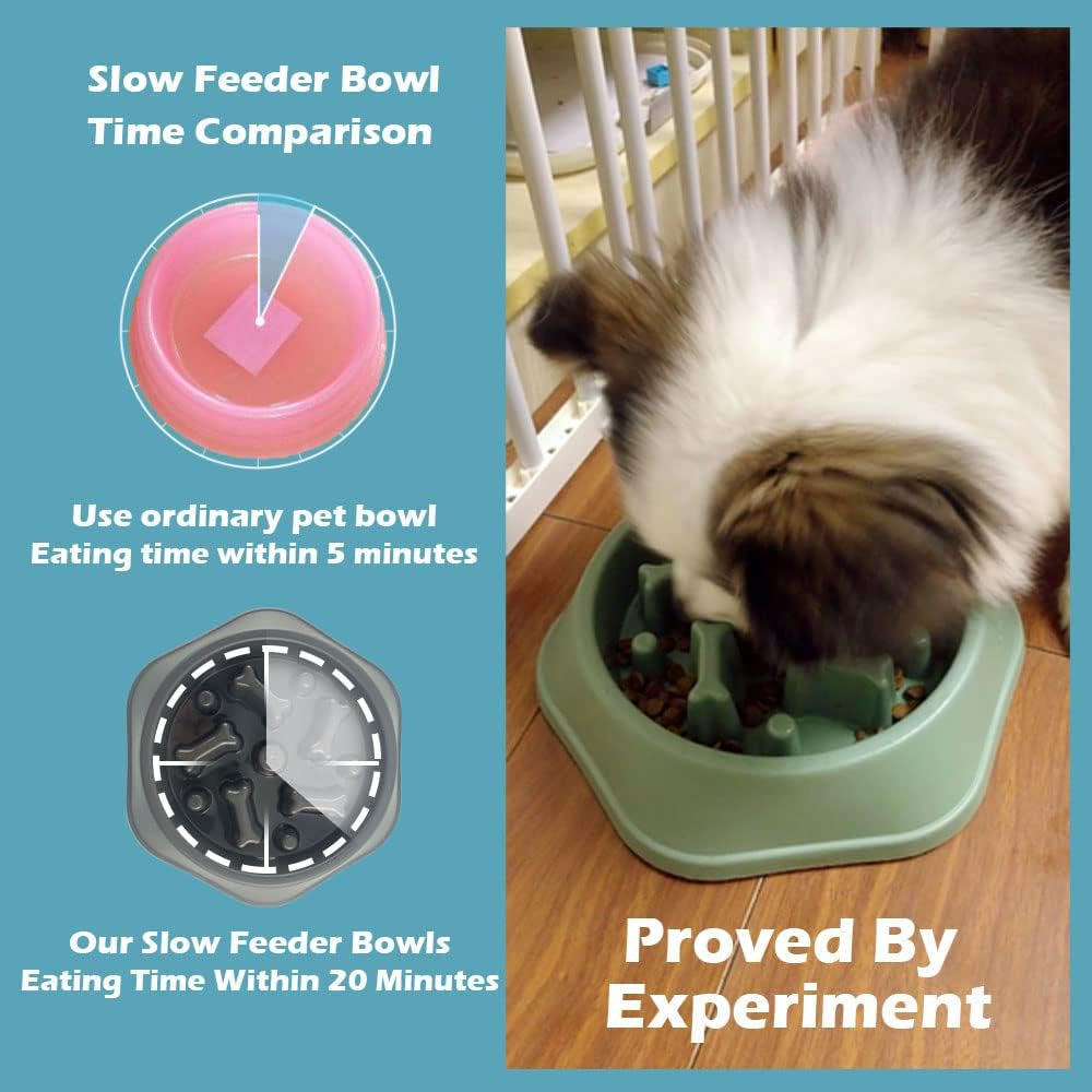 Transform Mealtime with Our Fun Slow Feeder Dog Bowl - Promote Healthy Eating for Small & Medium Dogs!