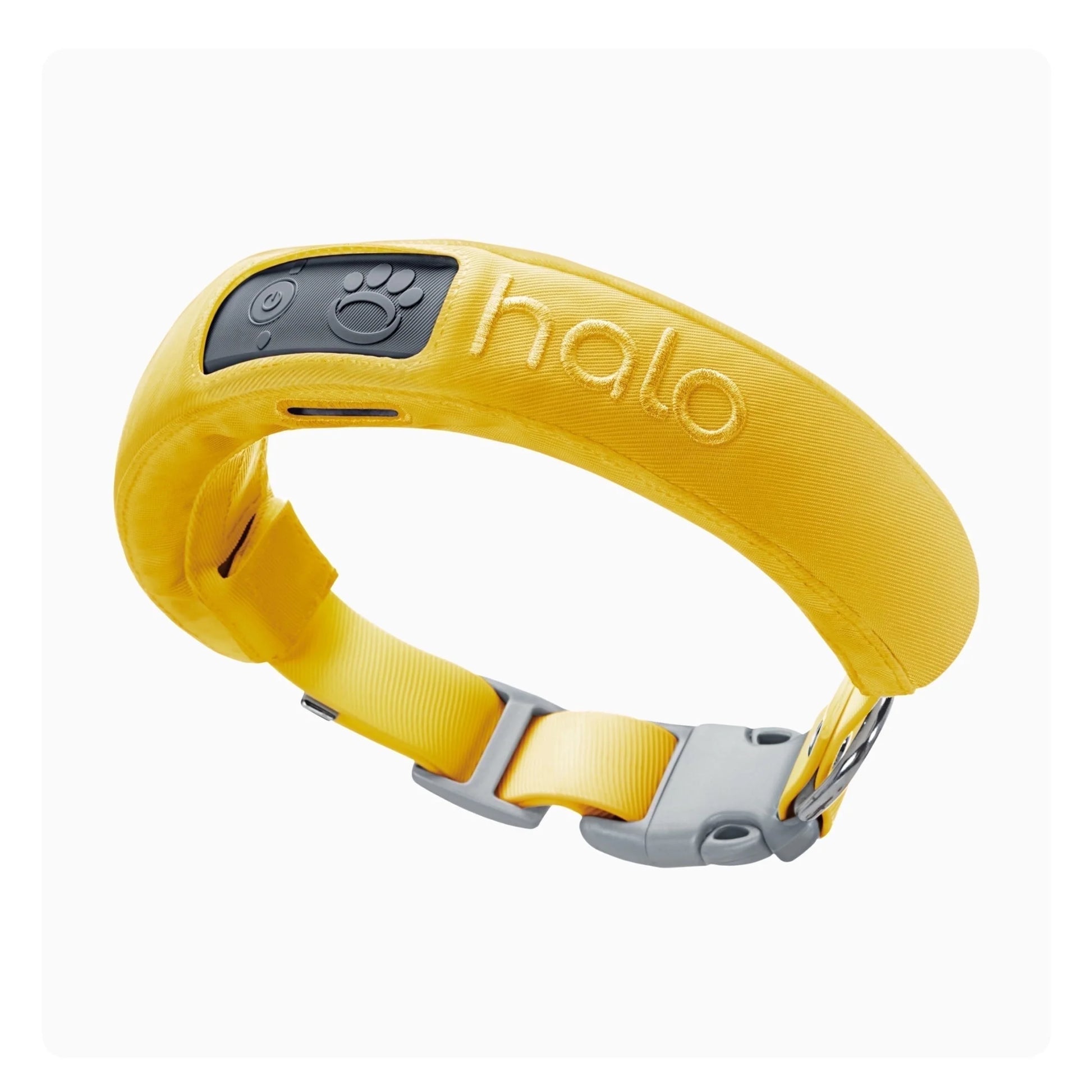 Unleash Freedom with the 3rd Generation Wireless GPS Dog Fence & Training Collar – Real-Time Tracking in Vibrant Sunburst for Medium/Large Dogs!
