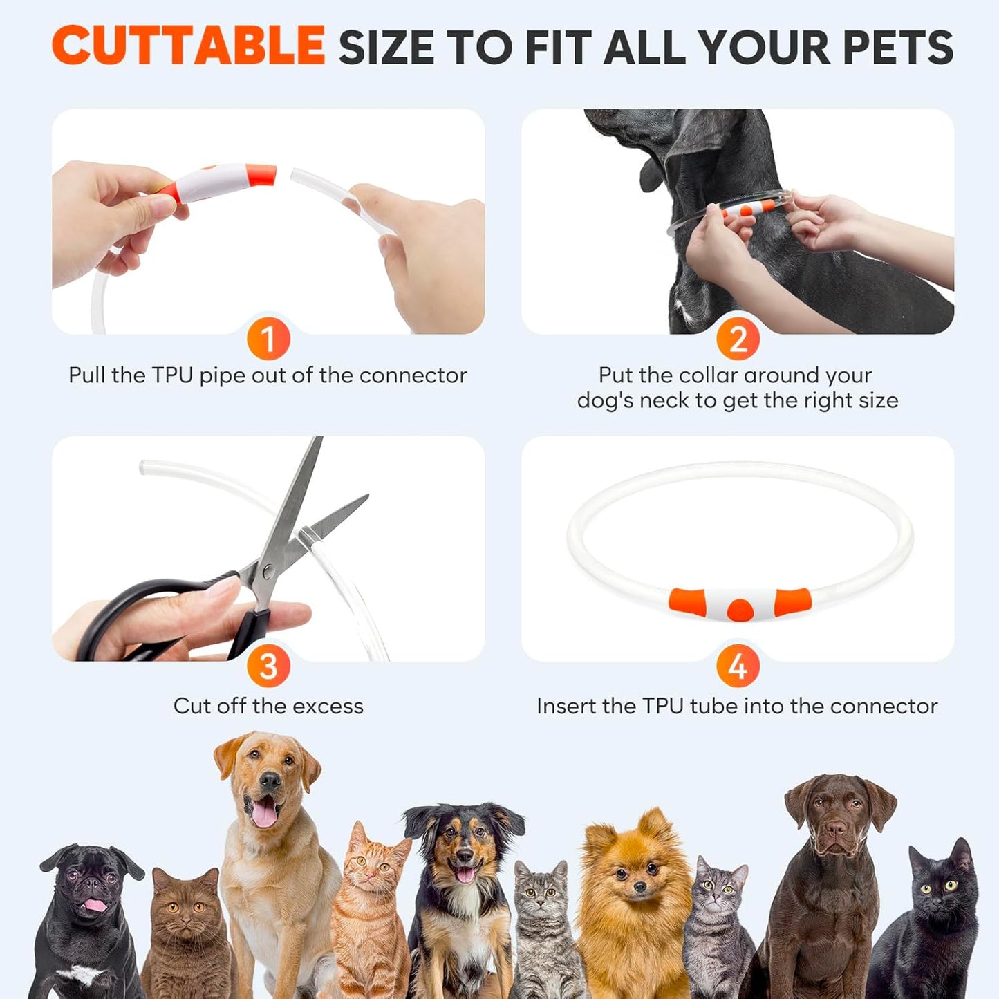 Light Up the Night! Rechargeable Waterproof Safety Dog Collar in Bright Orange for All Breeds 🐕✨ #DogSafety #NightWalks #PuppyLove